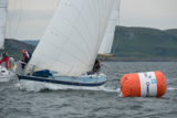 prime cut gbr3709 whyw16 tues 800 2910w